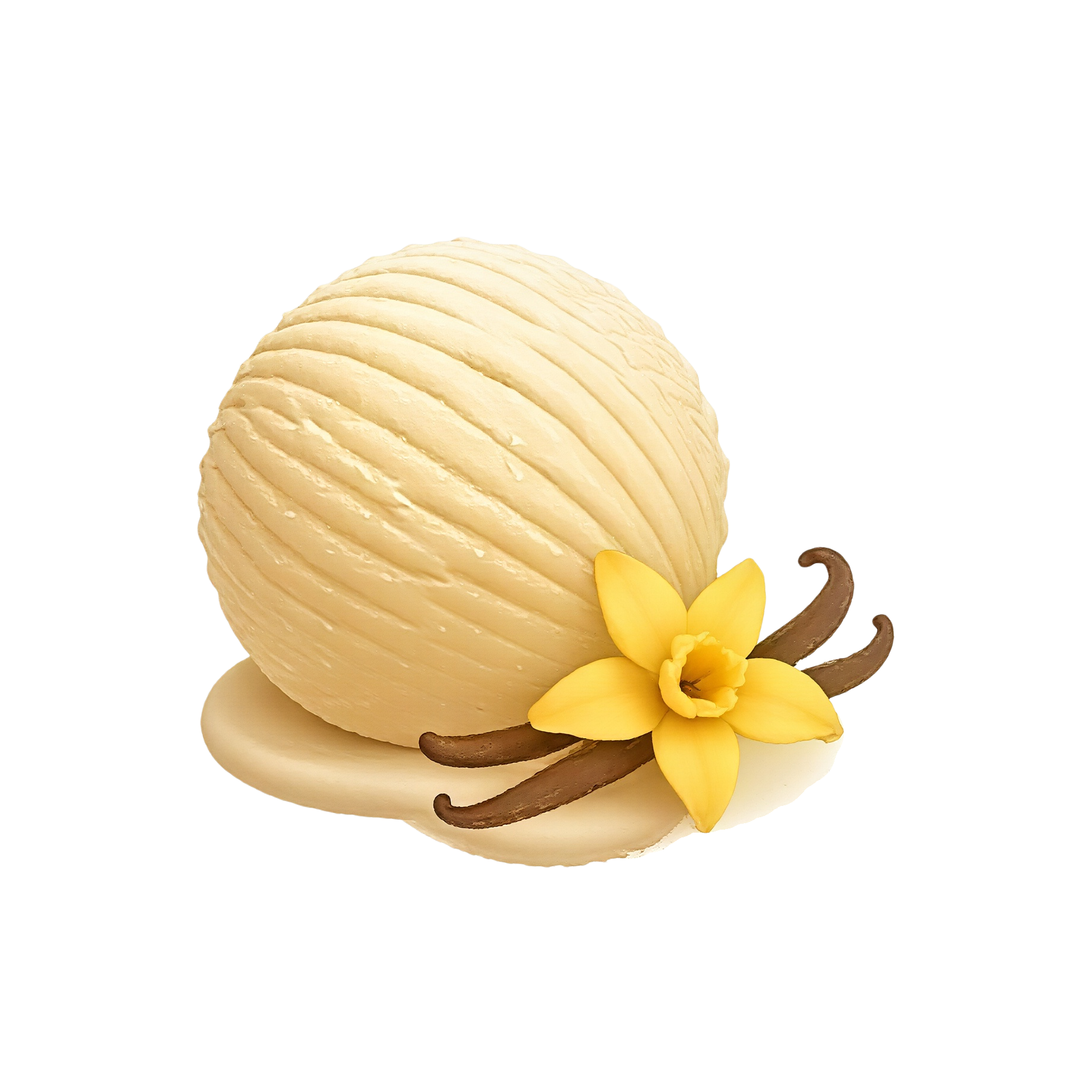 MuscleMe Plant Protein for Muscle & Recovery